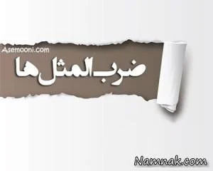 ضرب المثل