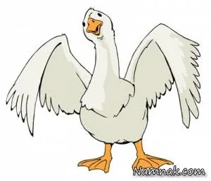 غاز