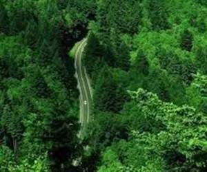 دیدنی های فومن