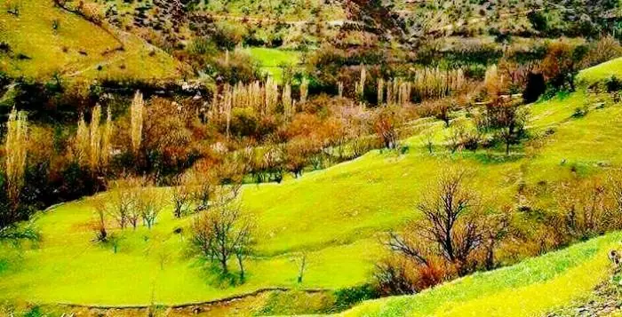 روستای نگل