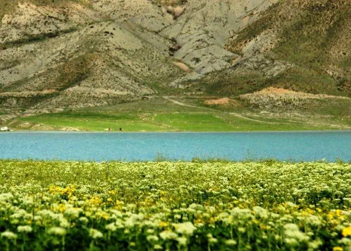 وانشان گلپایگان