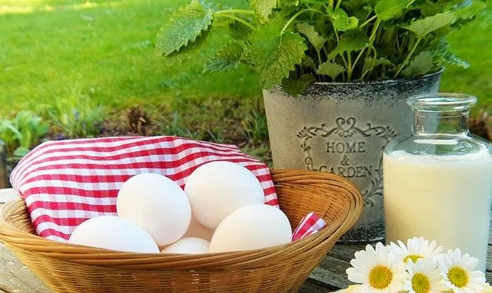 رژیم hcg