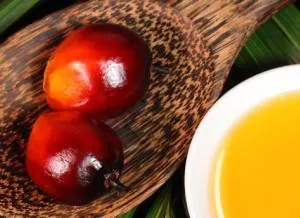 روغن پالم