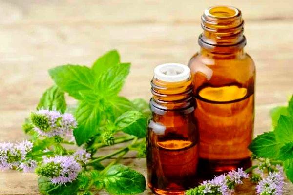درمان آبریزش بینی با نسخه های گیاهی 