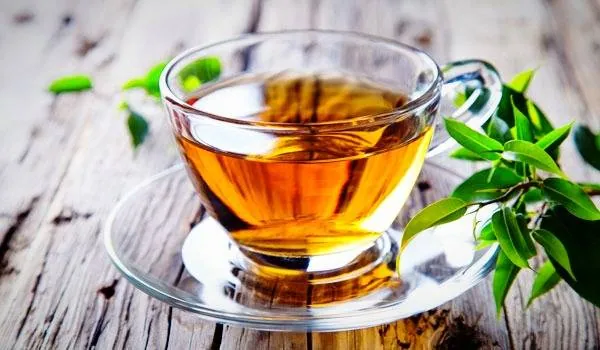 چای یونجه