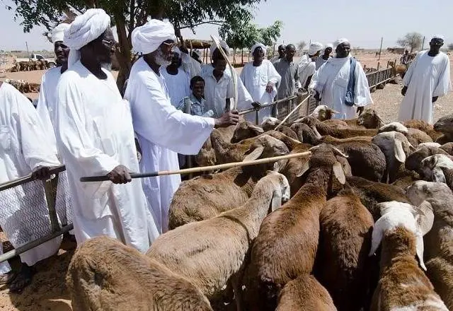 عید قربان