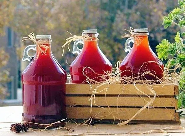 ماندگاری آبغوره