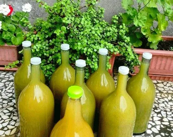 شیشه آبغوره