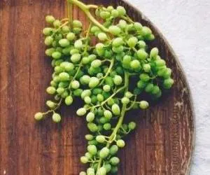 طرز تهیه آبغوره