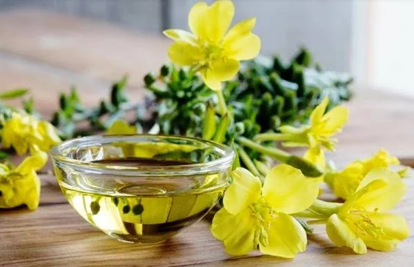روغن پامچال