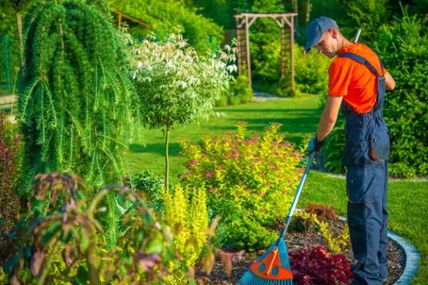 تمیز کردن باغچه 