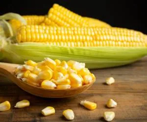 فریز کردن ذرت