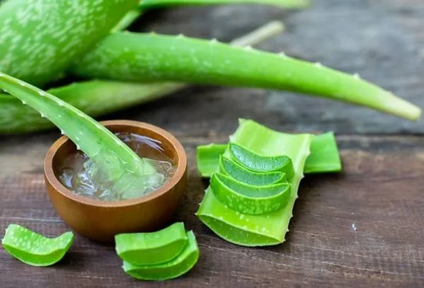 آلوئه ورا برای جوش