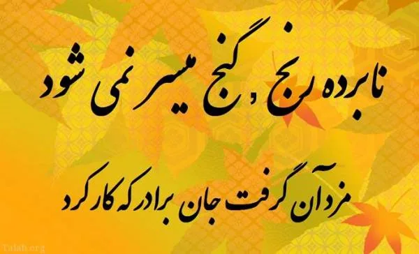 ضرب المثل