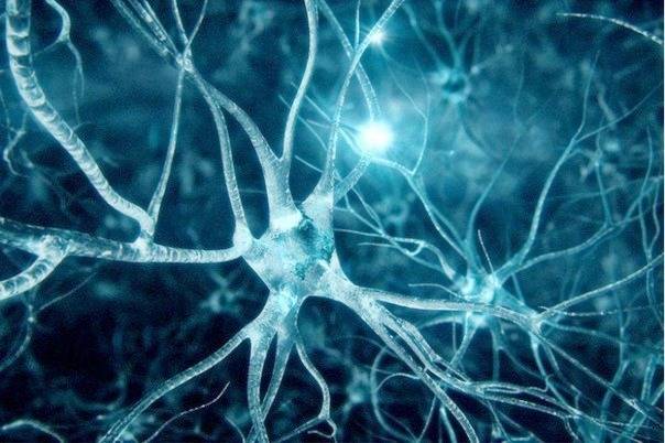 اتصال بین نورون ها 