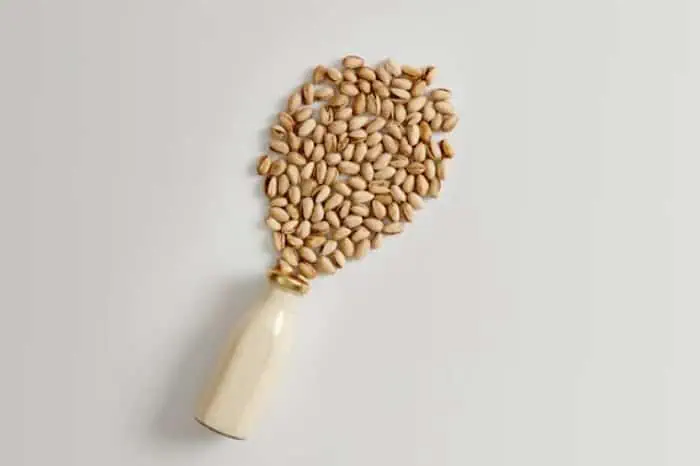 طرز تهیه شیر پسته
