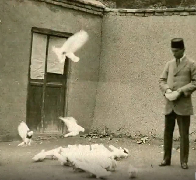 محمدتقی