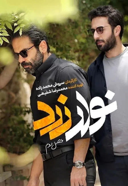 حسام محمودی