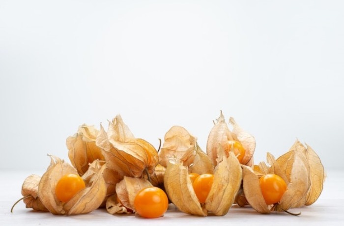 میوه فیسالیس