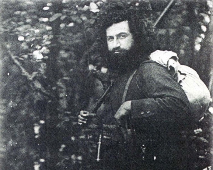 میرزا کوچک خان جنگلی چه کرد