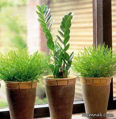 آلودگی هوا