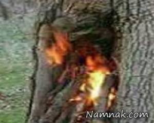 عکس یادگاری
