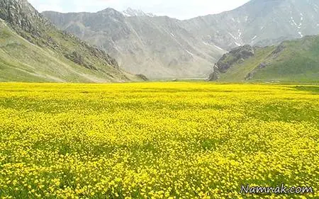 پارک ملی لار