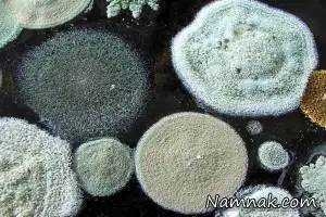 عوامل آلرژی