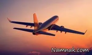 مسافران هواپیما