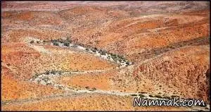 انسان های اولیه