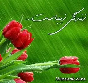 زندگی زیباست