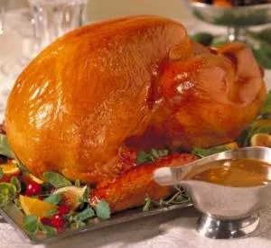 طرز تهیه غذا با انار