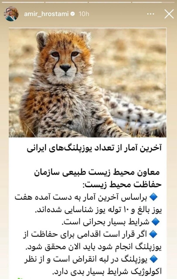 یوز ایرانی