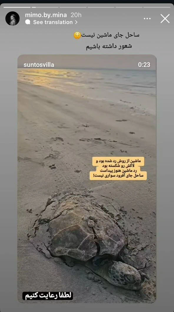 مینا مختاری