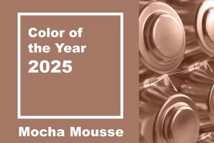 ست کردن رنگ موکاموس رنگ سال 2025