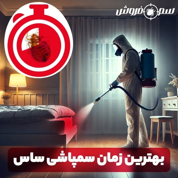 بهترین زمان سمپاشی ساس