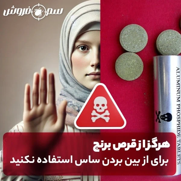 قرص برنج برای ساس