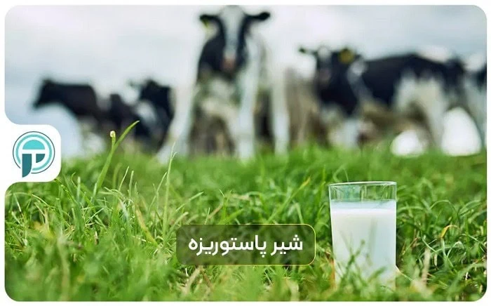 تفاوت شیر پاستوریزه، استریلیزه