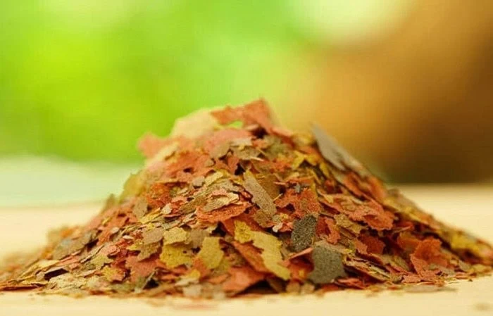 غذای پولکی