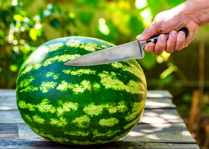 هندوانه