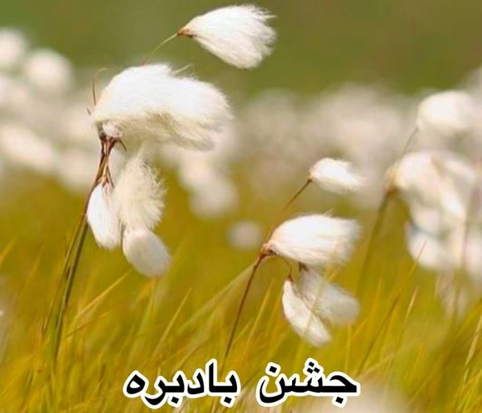 جشن بادبره