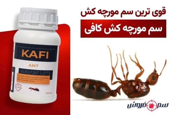 سم مورچه کش کافی – Kafi :قوی ترین سم مورچه خانگی
