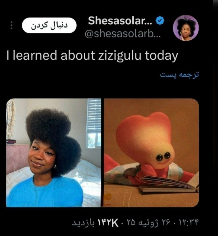 زی زی گولو
