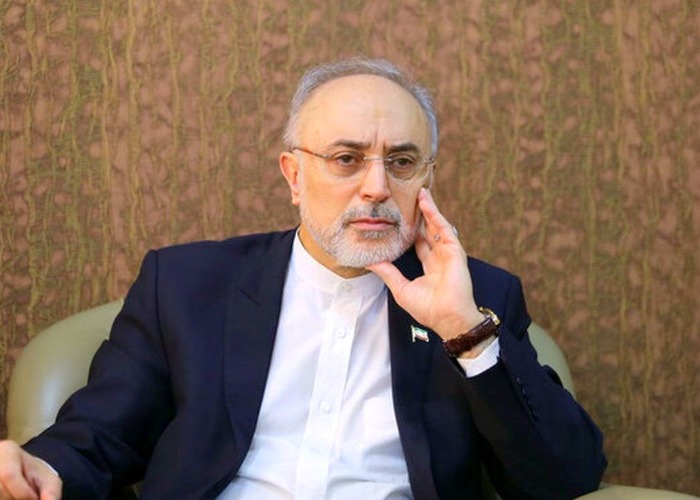 علی اکبر صالحی