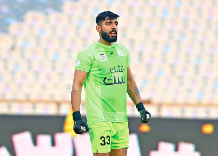 حبیب فرعباسی