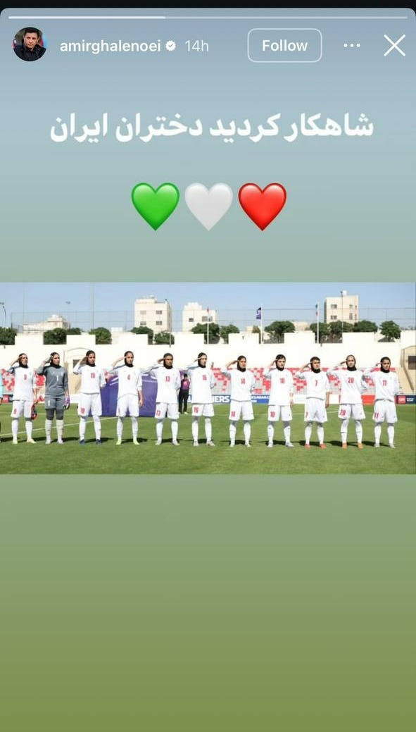 امیر قلعه نویی