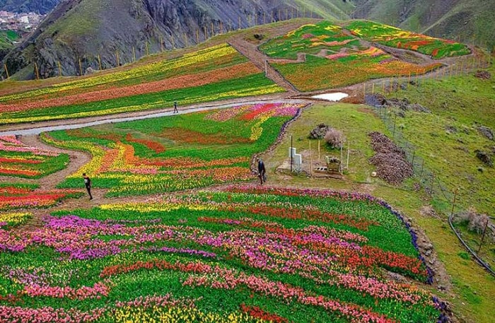 روستای کندر کجاست؟