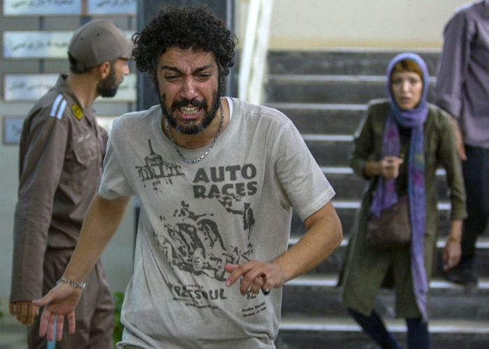مهدی زمین پرداز در علفزار