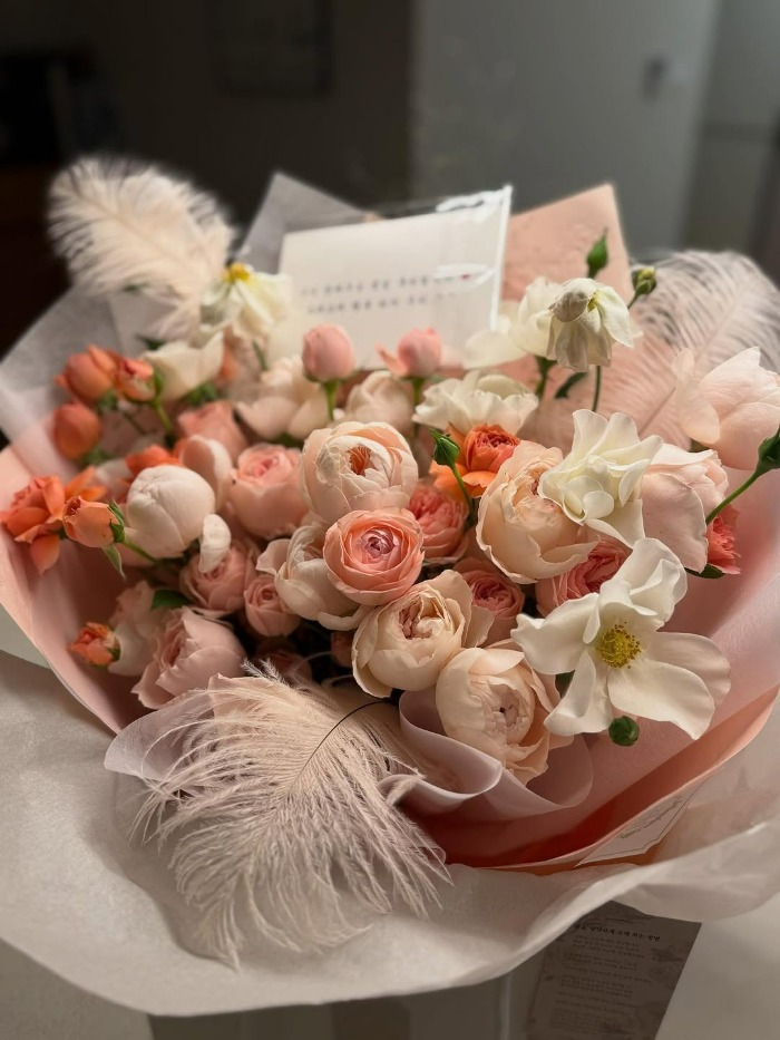 تولد سوسانو