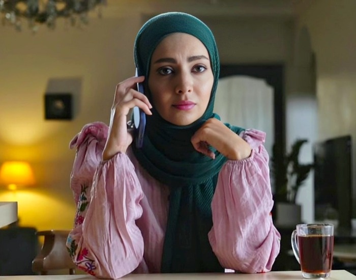 مهشید جوادی در غریبه